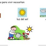 ana valles