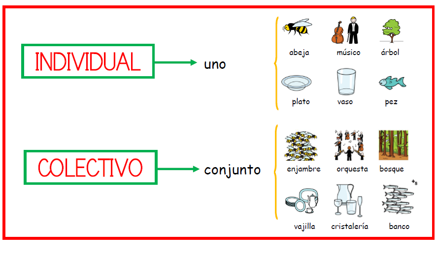 Resultado de imagen de nombres individuales y colectivos