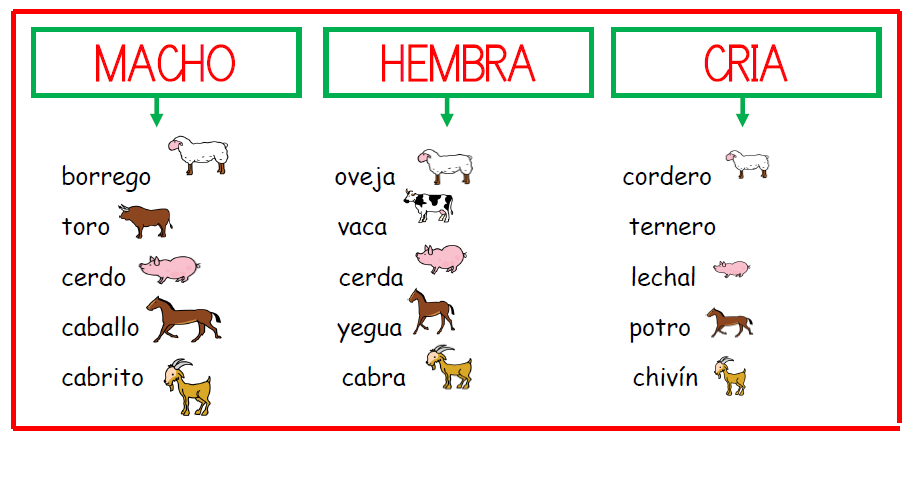 Carteles de lengua para decorar en aula - Aula PT
