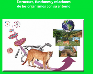 ecosistema ecosistema