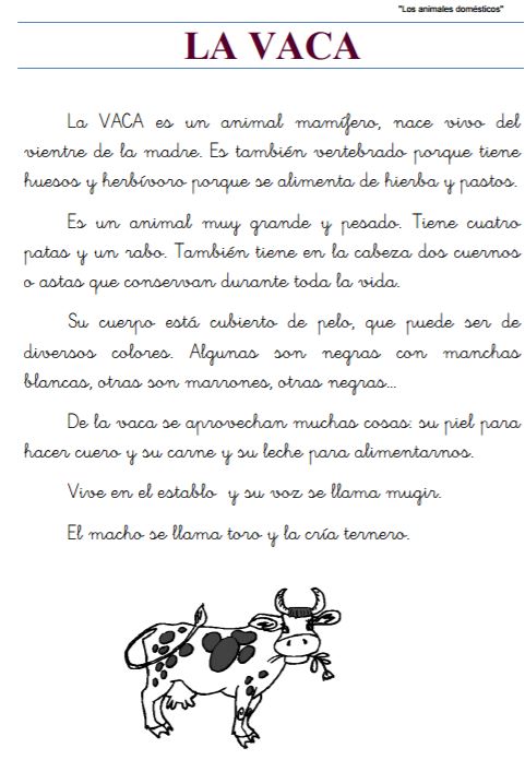 ANIMALES DOMÉSTICOS - Aula PT