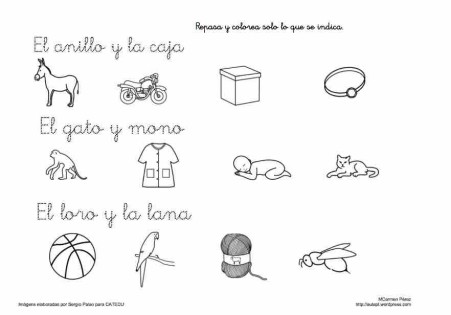 lee y pinta