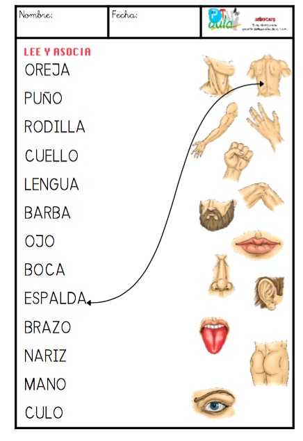 LEE PALABRAS Y ASOCIA CON IMAGEN - Aula PT