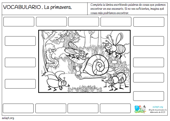 20 LÁMINAS DE VOCABULARIO DE TEMAS VARIADOS. - Aula PT